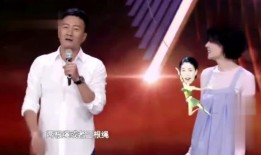 王菲胡军最新爆料,娱乐圈背后的故事大公开